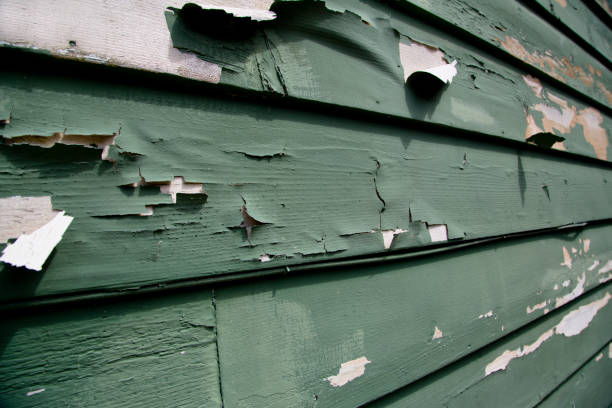 Affordable siding repair and maintenance services in Cave Spring, VA