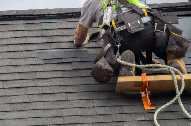 Best Storm Damage Siding Repair  in Cave Spring, VA