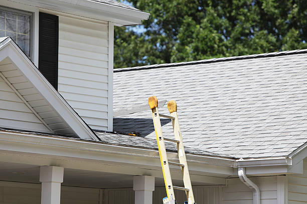 Best Brick Veneer Siding  in Cave Spring, VA