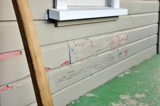 Best Custom Trim and Detailing for Siding  in Cave Spring, VA